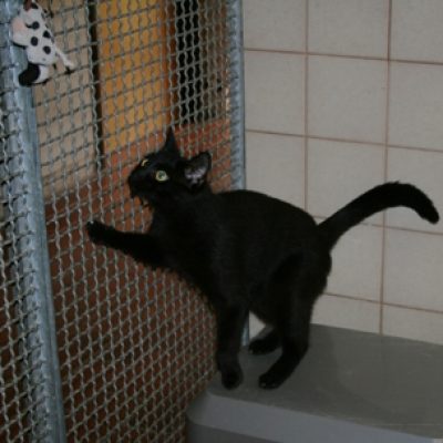 A3f555faced8925f4deb25af19d6abff