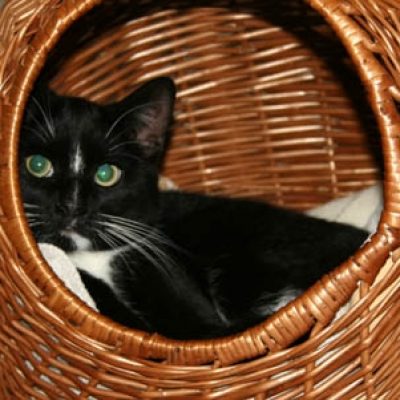 A5f10fbd19f01d5dc9cda9ccb53fcb94