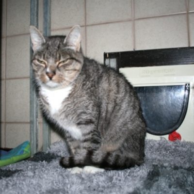 A7f29fa843c0bce11d4005210b603e61