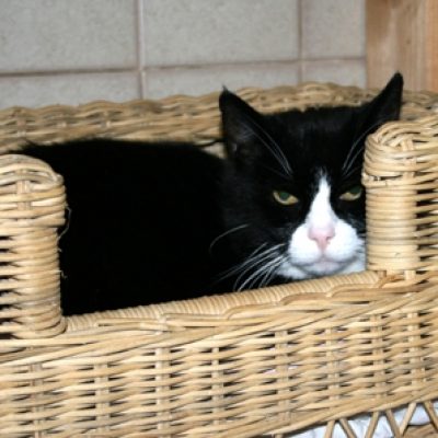 A868dc64f170dbf0996ef66cc77d4331