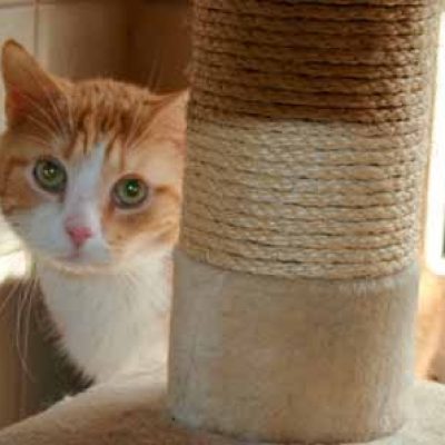 A97781ce9e87bca284b3461b9d41fa2b