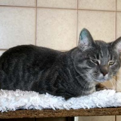 A98e5d15b6934ee6e4f147612d8131a6