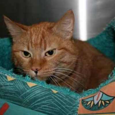 A9ea13237c0502159263f017095ec8e6