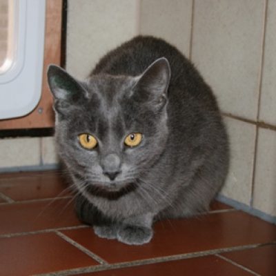 Ab1e1d0cb6ebf397dbaa2f79b89aa17c