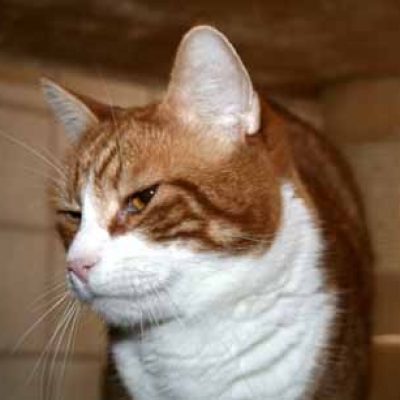 Ac2e849b4a428fbab1a3915044f21521