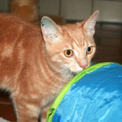 Ac3c82d798b804f58491d821c475780a