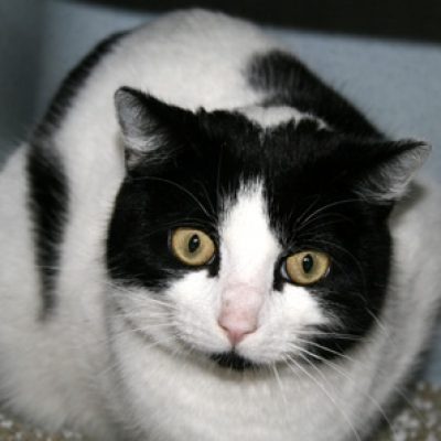 Ac550b751c05d513d859ea611f80b816