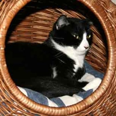 Ad187b5e7f02824c55aef6c62160239e