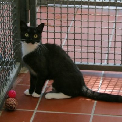 Aee1a5aa76ef36d981450ff04a00740a