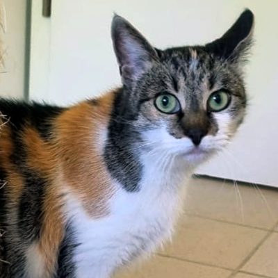 Afd6d0501ec57a72a75a6d27fc09f6bb