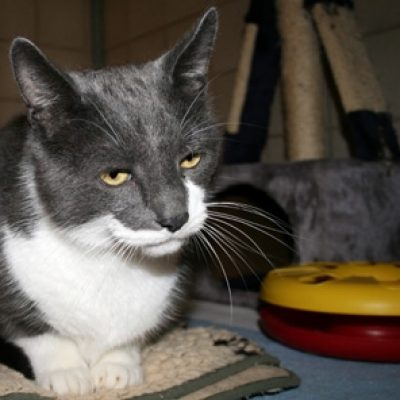 B07e2fc4e76a8b6328e5a3a4644fb265