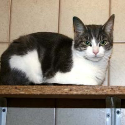 B276e78805e8a73c6acaf606900864fe