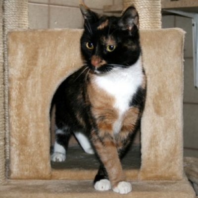 B3ec876a90da9bb8980edd2250434fb3