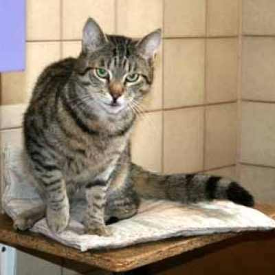 B4ac33f6fe81d54ed9a9247555ae868c