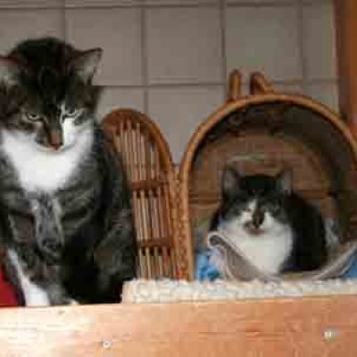 B5081aa54ad470ff4039ef00a5cbf9d3