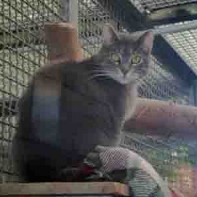 B5632518d9b8cb91d6ddf29b0018a2ac