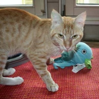 B567dae5cb7e9adbc0464bd4a5df766b