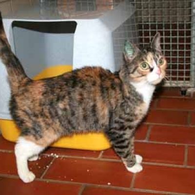 B61427359683b4e30ca6f8df2dd5e601