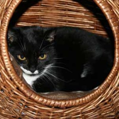 B6a0dcc56b3929e09dbe6dac6a4485bd