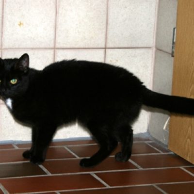 B7684a3fb48d3cbea13dff718c34b6d9