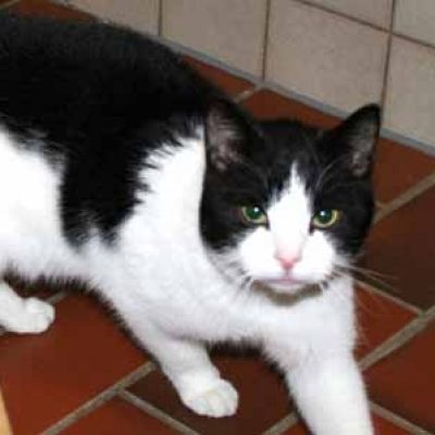 B7c3b7a4bb8bc266a517106bd9599927