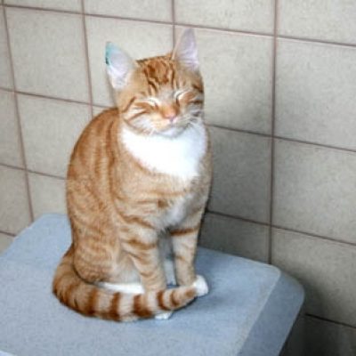 Ba813ccea29b022d9bf5e00cb3b5ada2