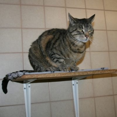 Bd5b551e7d6b7885a6be84801d23aa11