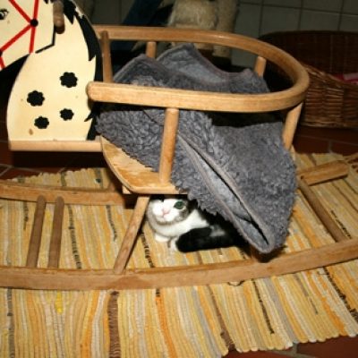 C04d87aa8933a07fbb7fb4cbd401ad43