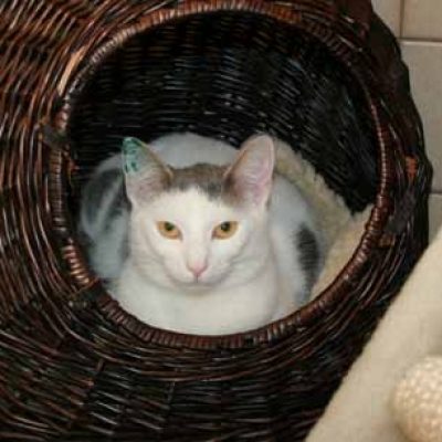 C254004b2125d54e936f8991ae1e4c44