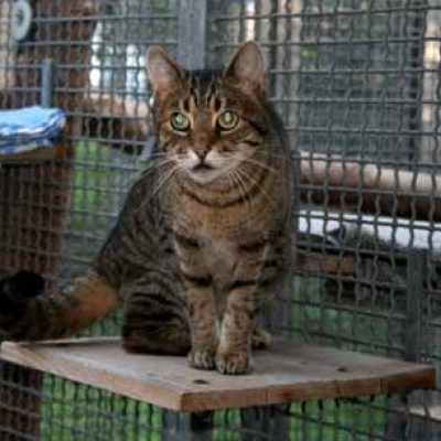 C29c12f108aba1c576f94e3a06d1f923