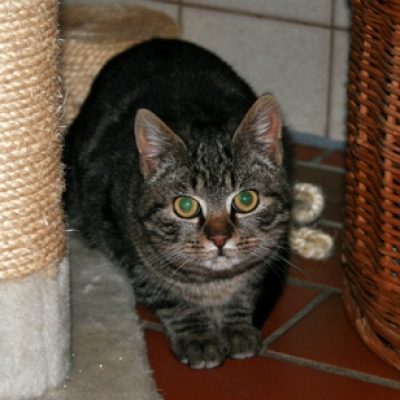 C5aba44d28efa970d69d4f7d7ec869e3