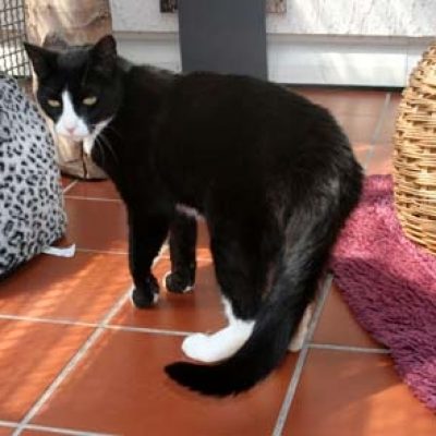 C5c95158d44ee2ae390a3c3d6bd2e7f8