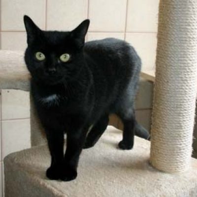 C71be6c6d86a2e5631c652e7f756efae