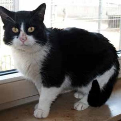 C73a1f6efcf3eb175338b9199647979c