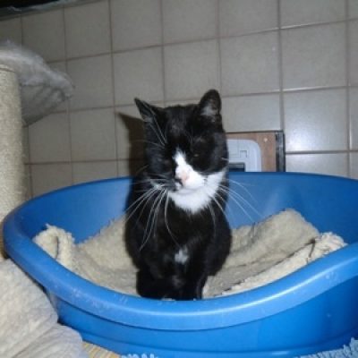 C7a360599c89f3c74309cc542d9db722