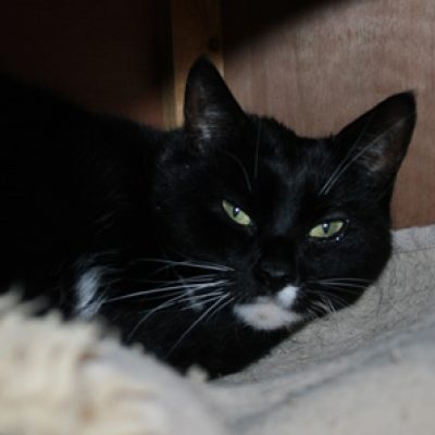 C84bca2a562da7d1131a1d0c3f135dbe