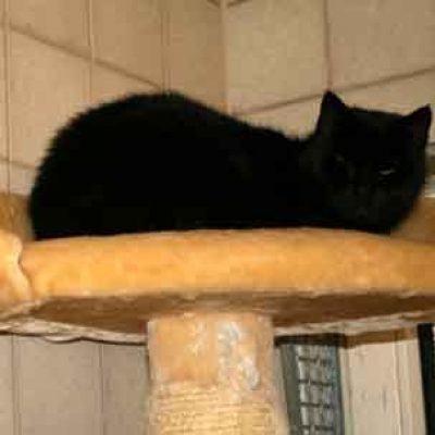 Ca2d3b9781db35243fe5868c79aba4c0