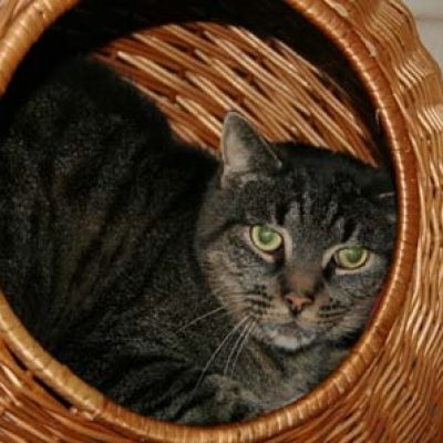 Ca70f255bd2394191d82d5fae8f6827e