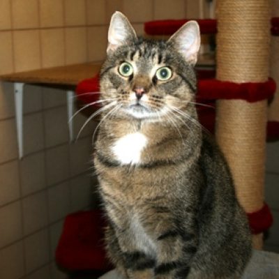 Cd37ed46198bb78c38b3e24a7fc57fa1