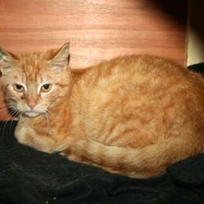 D0d5caef53a97465ee5797663b3cd459