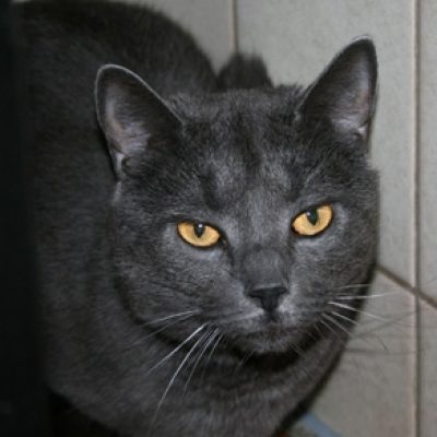 D0dee64853976ef255dfca075907f666