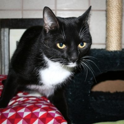 D28855b5ec97d8ade8d2a60ae4f4aee4