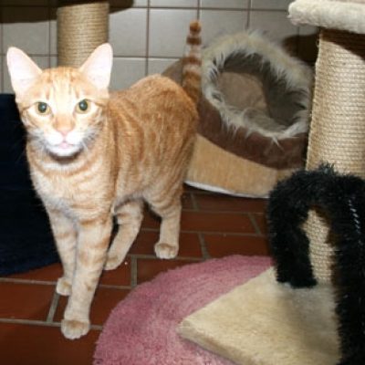 D3ca19fd56648205d13a67be2ebec092