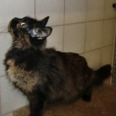 D5dc03450c202e8af1746d3a2e224907