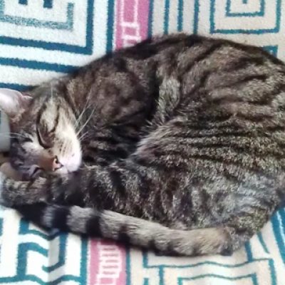 D7b60e115305b0e1445255a9ce275631