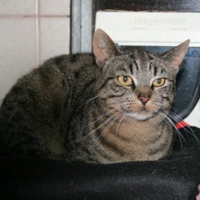 D7f952e4236afc03a202fc64913dc353