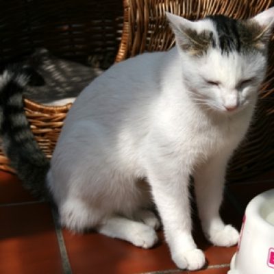 D8256a98e75924698e69e6e5213760e8