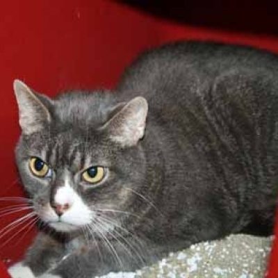 D8fc8a359accd7894dcbd989398acc9d