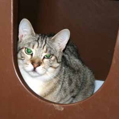 D9860c51a78fa54832b510028e523c79