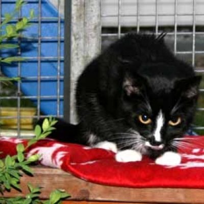 Daeaf03c78ddb214e4f37d15ced29379